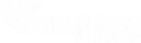 We repair Vision Fitness equipment